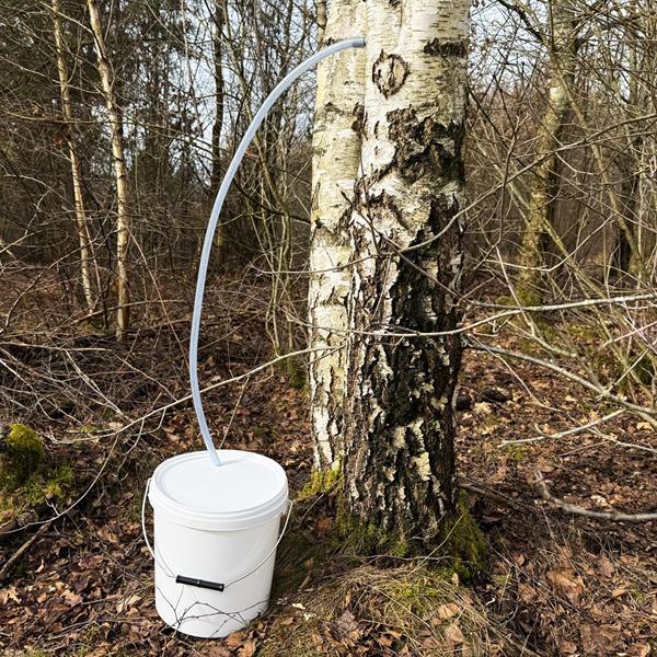 Tappesett for bjørkesaft med 10 liters bøtte og 4 dunker